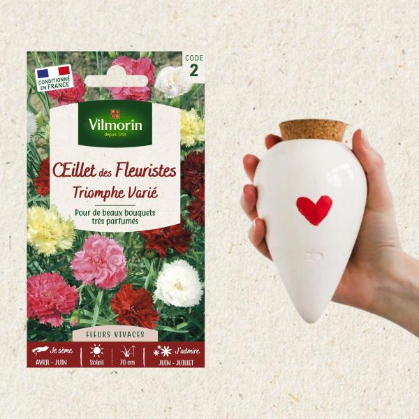 Kit de jardinage - Kit Œillet des Fleuristes Varié + Olla Cœur - face recto